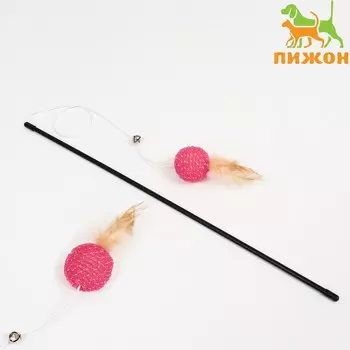 Дразнилка
