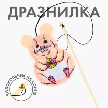 Дразнилка с игрушкой