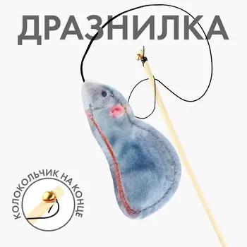 Дразнилка с игрушкой