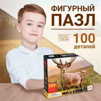 Пазл фигурный