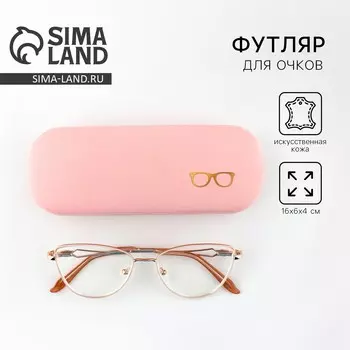 Футляр для очков