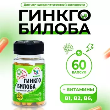 Гинкго билоба ангио, для памяти и внимания, 60 капсул по 500 мг