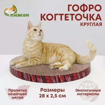 Гофрокогтеточка