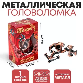 Головоломка металлическая