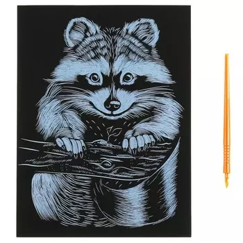 Гравюра МУЛЬТИ АРТ 100SCRATCHART-SILV-RACOON