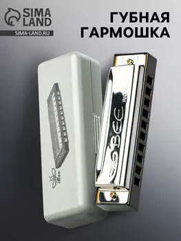 Губная гармошка, диатоническая, 10 отверстий, c-major, с футляром, серебристая