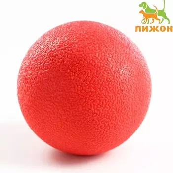 Игрушка