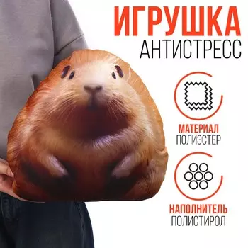 Игрушка антистресс