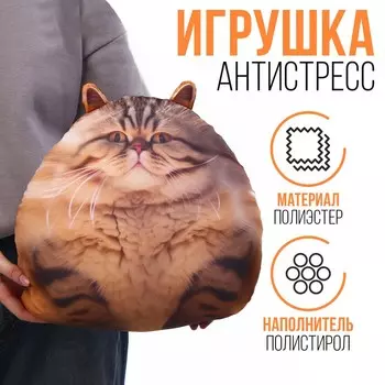 Игрушка антистресс