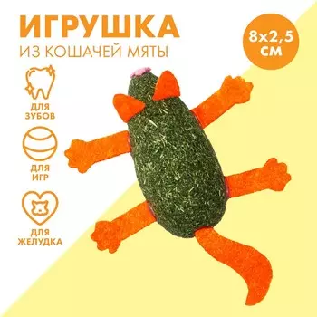Игрушка для кошек