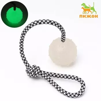 Игрушка для собак