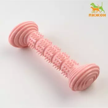 Жевательная игрушка для собак пижон