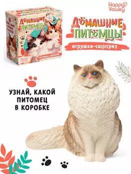 Игрушка - сюрприз