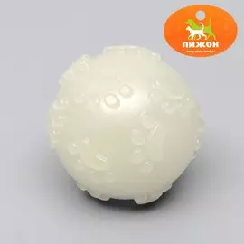 Игрушка для собак, светящаяся в темноте,