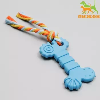 Игрушка жевательная с канатом