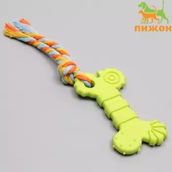 Игрушка жевательная с канатом