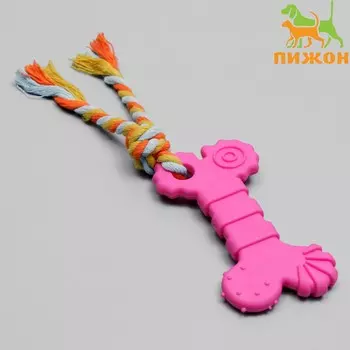 Игрушка жевательная с канатом
