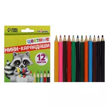 Карандаши calligrata, цветные, 12 цветов, мини