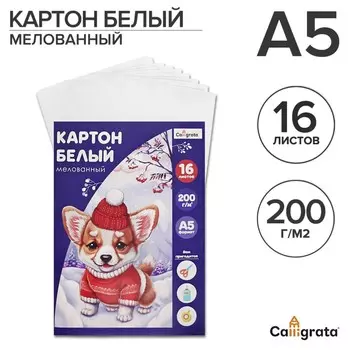 Картон белый а5, 16 листов, мелованный, плотность 200 г/м2, в папке