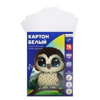 Картон белый а5, 16 листов, немелованный, плотность 200 г/м2, в папке