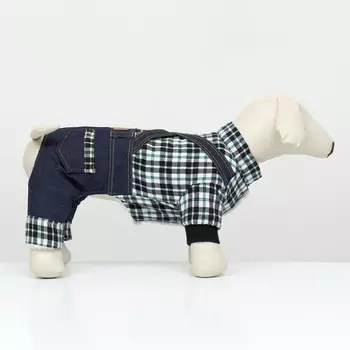 Комбинезон men, размер 2xl (дс 45 см, ог 55 см, ош 45 см), синий