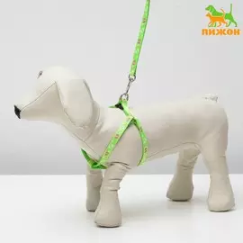 Комплект