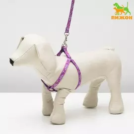 Комплект