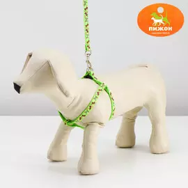 Комплект