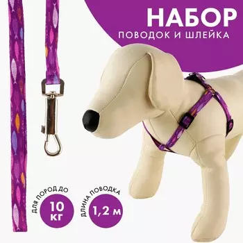 Комплект