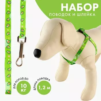 Комплект