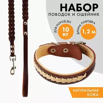 Комплект бежевый ошейник и коричневый поводок с косой