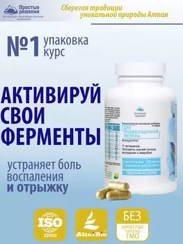 Концентрат Поджелудочная железа с экстрактом топинамбура и репешка + 11 витаминов, 60 капсул