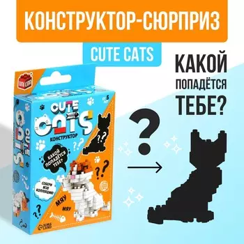 Конструктор-сюрприз