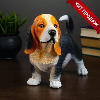 Копилка для денег