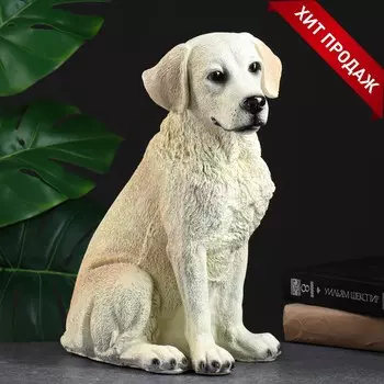 Копилка для денег