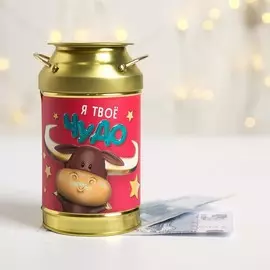 Копилка-бидон