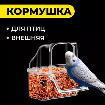 Кормушка для птиц внешняя, 6.76.28 см