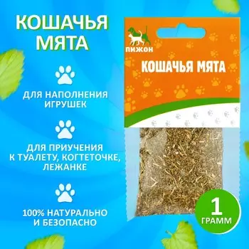 Кошачья мята