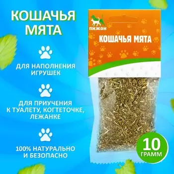 Кошачья мята