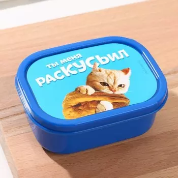 Ланч-бокс