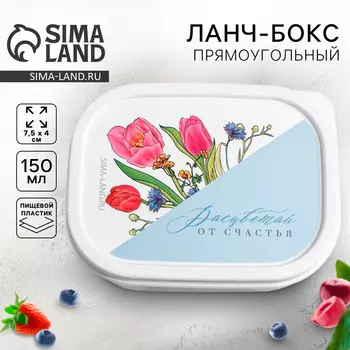 Ланч бокс