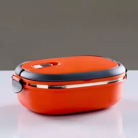 Ланч-бокс