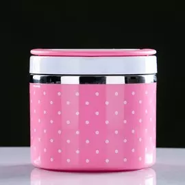 Ланч-бокс