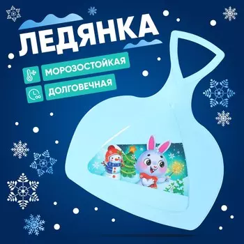 Ледянка