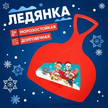 Ледянка paw patrol