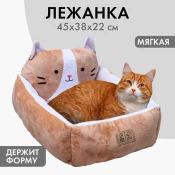 Лежанка с бортиком