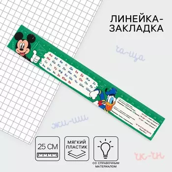 Линейка-закладка пластиковая 25 см,