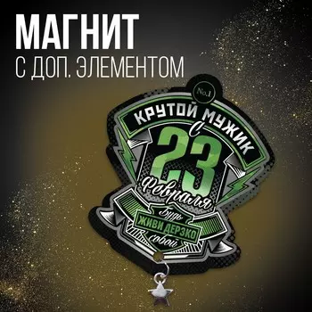 Магнит с доп. элементом