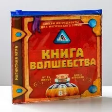 Магнитная игра