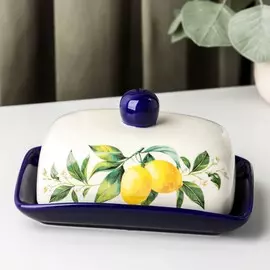 Маслёнка доляна
